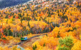 Ferrovia Vigezzina Centovalli: il treno del foliage