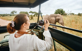 Bloccato in casa? Concediti Un Safari in Africa...Privato!