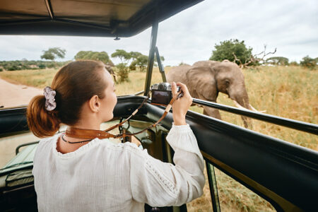 Bloccato in casa? Concediti Un Safari in Africa...Privato!