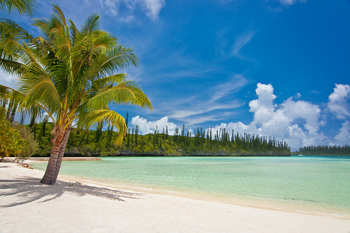 Nuova Caledonia: dove si trova, quando andare, voli, cosa vedere...