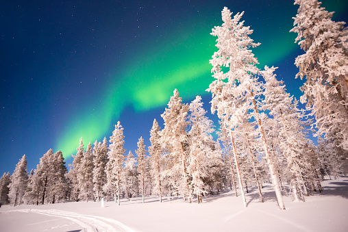 Viaggio in Lapponia: costo, quando andare per vedere l'aurora boreale o Babbo Natale