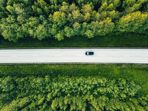 Lapponia svedese: cose incredibili che puoi fare e vedere in primavera