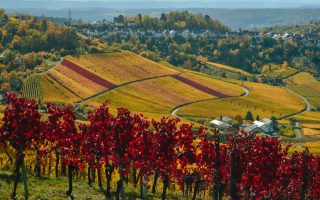 Le Langhe e i suoi meravigliosi borghi, cosa vedere e i prodotti tipici