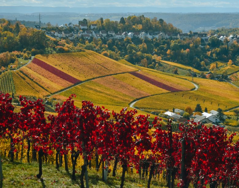 Le Langhe e i suoi meravigliosi borghi, cosa vedere e i prodotti tipici