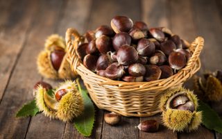 Dove andare a castagne in Lombardia? Luoghi, tipologie, itinerari