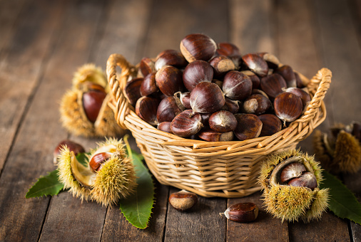 Dove andare a castagne in Lombardia? Luoghi, tipologie, itinerari