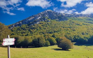 Parco Nazionale del Pollino dove si trova? Cosa vedere, Mappe, Escursioni