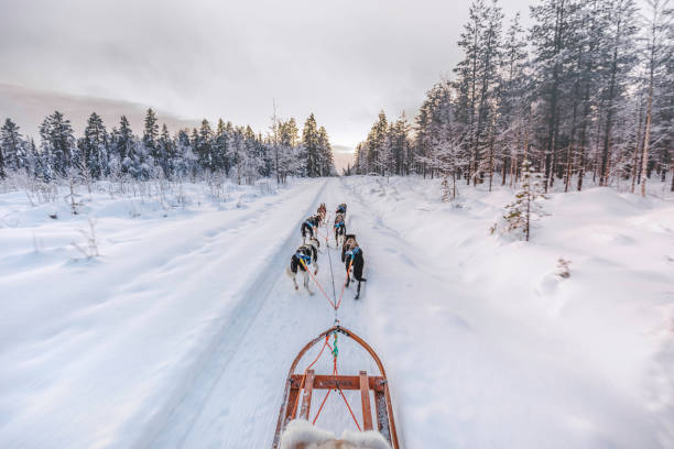 rovaniemi	9.900	â‚¬ 0,58	
60
rovaniemi finlandia	210	â‚¬ 0,71	
34
finlandia luoghi di interesse	140	n/a	
44
cosa fare a rovaniemi	90	â‚¬ 0,25	
33
cosa vedere a rovaniemi	90	â‚¬ 0,15	
39
rovaniemi lapponia	70	â‚¬ 0,57	
39
finlandia rovaniemi	70	â‚¬ 1,18	
40
lapponia rovaniemi	70	n/a	
39
rovaniemi luoghi di interesse	50	n/a	
34
escursioni rovaniemi