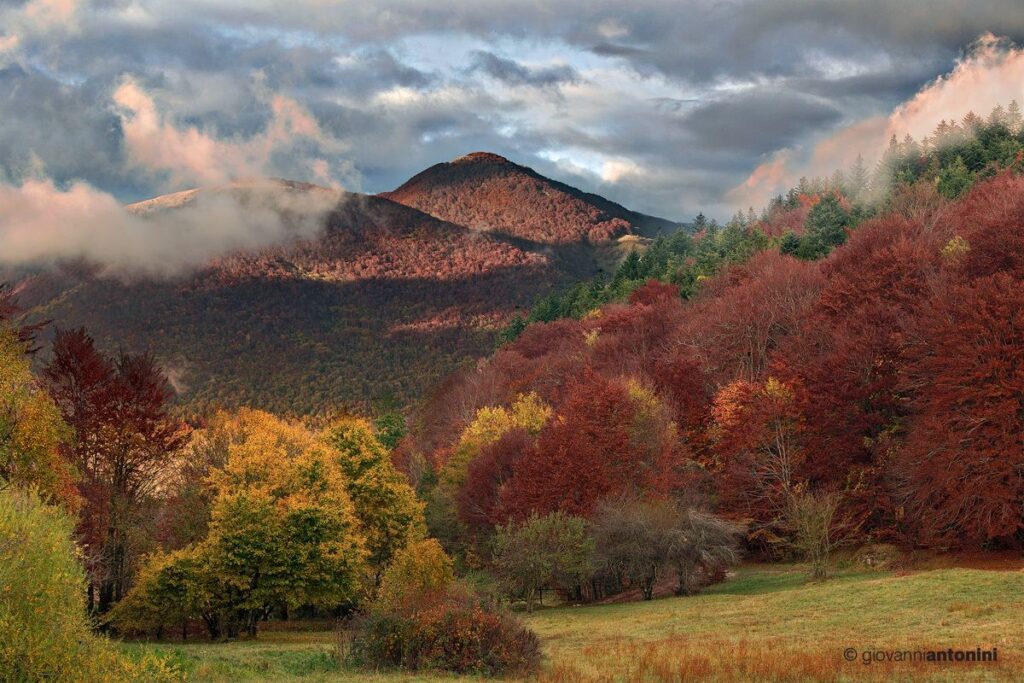 autunno in italia  autunno nel lazio  monte terminillo foliage autunno