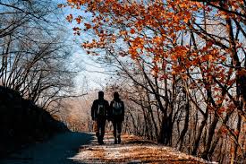 boschi autunnali  boschi in autunno monti aurunci foliage lazio