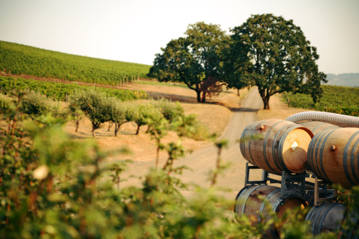 strada de vino val di noto autunno 2020