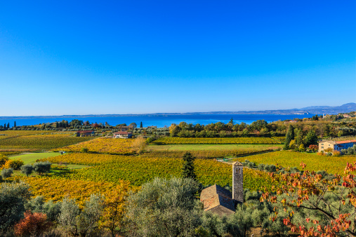 autunno in vigna bardolino