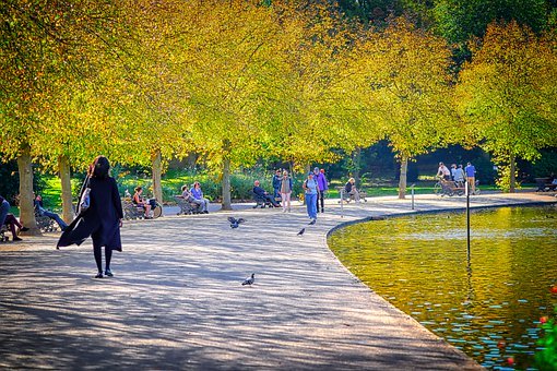 autunno caratteristiche  caratteristiche autunno  dell'autunno