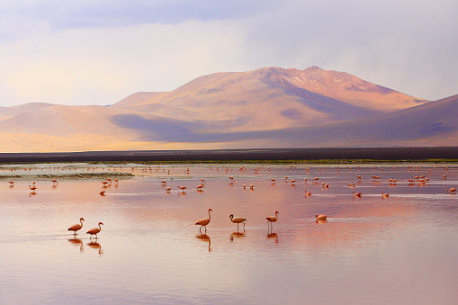 luoghi economici
viaggi economici
viaggio economico in bolivia
offerte bolivia
bolivia