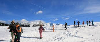 Altopiano di Asiago: cosa vedere tra strade e sentieri, il Villaggio degli Gnomi e altre bellezze da non perdere