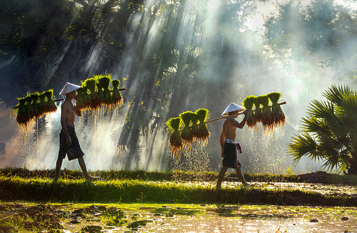 Azerai Hue La Résidence  Azerai Can Tho
Mekong
hue vietnam
destinazioni 2021 vietnam