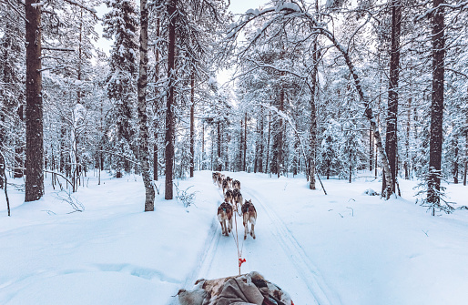 viaggio in lapponia  viaggio in lapponia prezzi  rovaniemi finlandia