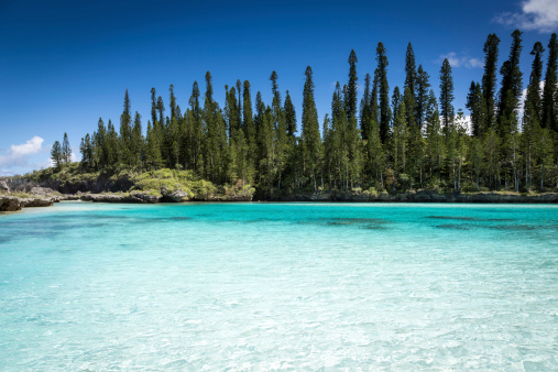 nuova caledonia isola die pini
isola dei pini
isola dei pini caledonia
nuova caledonia mare