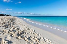 Aruba Le Caraibi olandesi: dove si trova, cosa vedere, periodo migliore per visitarla, cosa fare o mangiare, eventi