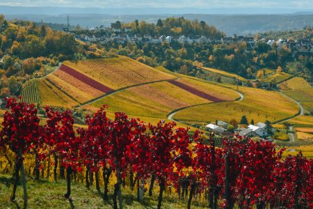 Le Langhe e i suoi meravigliosi borghi, cosa vedere e i prodotti tipici